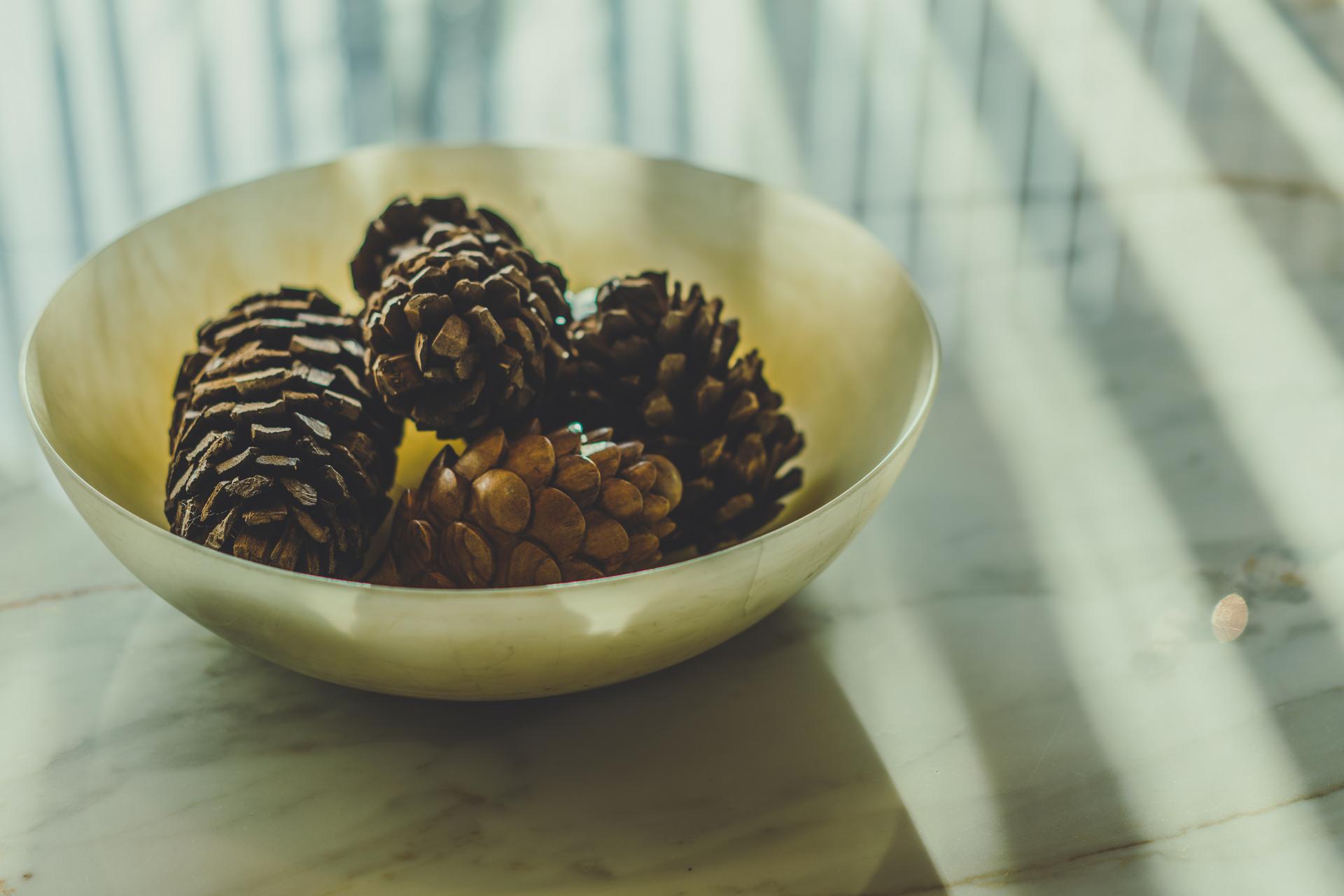 A bowl of pinecones serve as as decor in a mountainside chalet