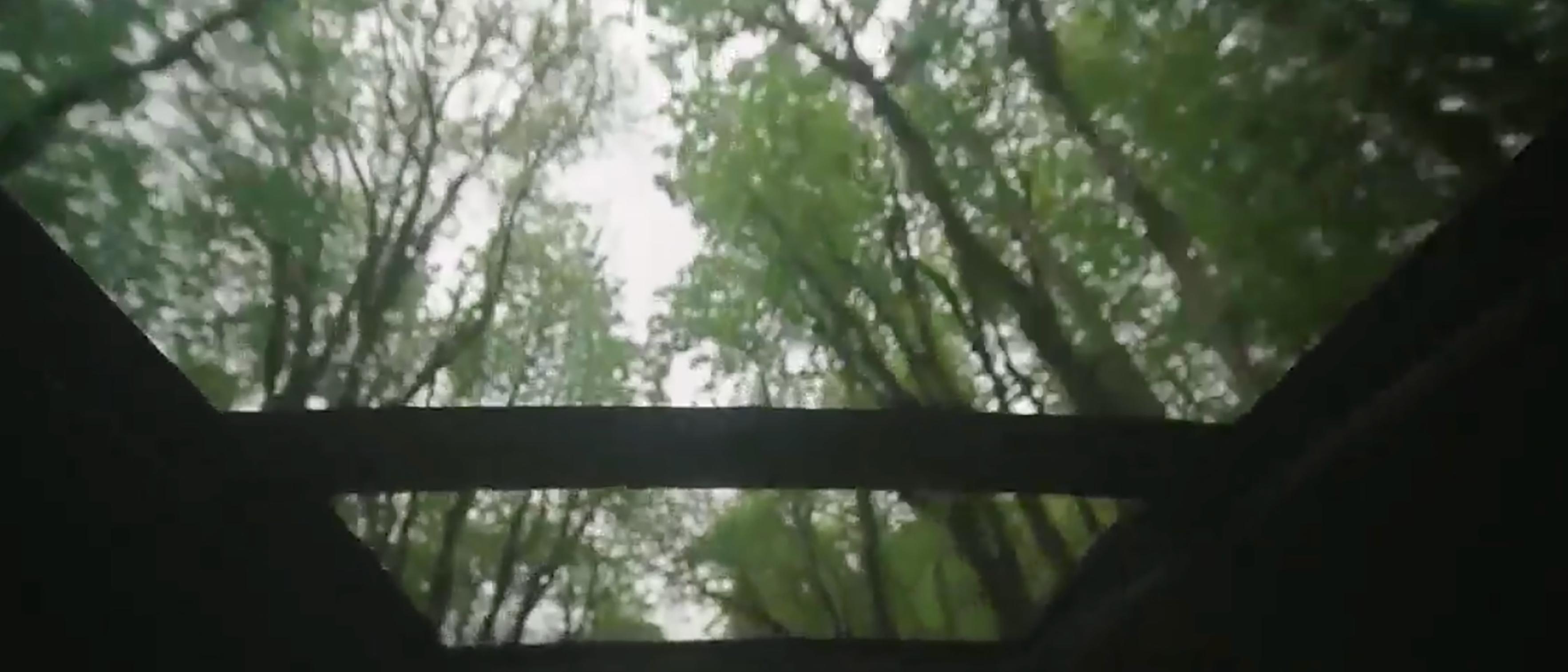 An interior view looking up through the panoramic Vista Roof®
