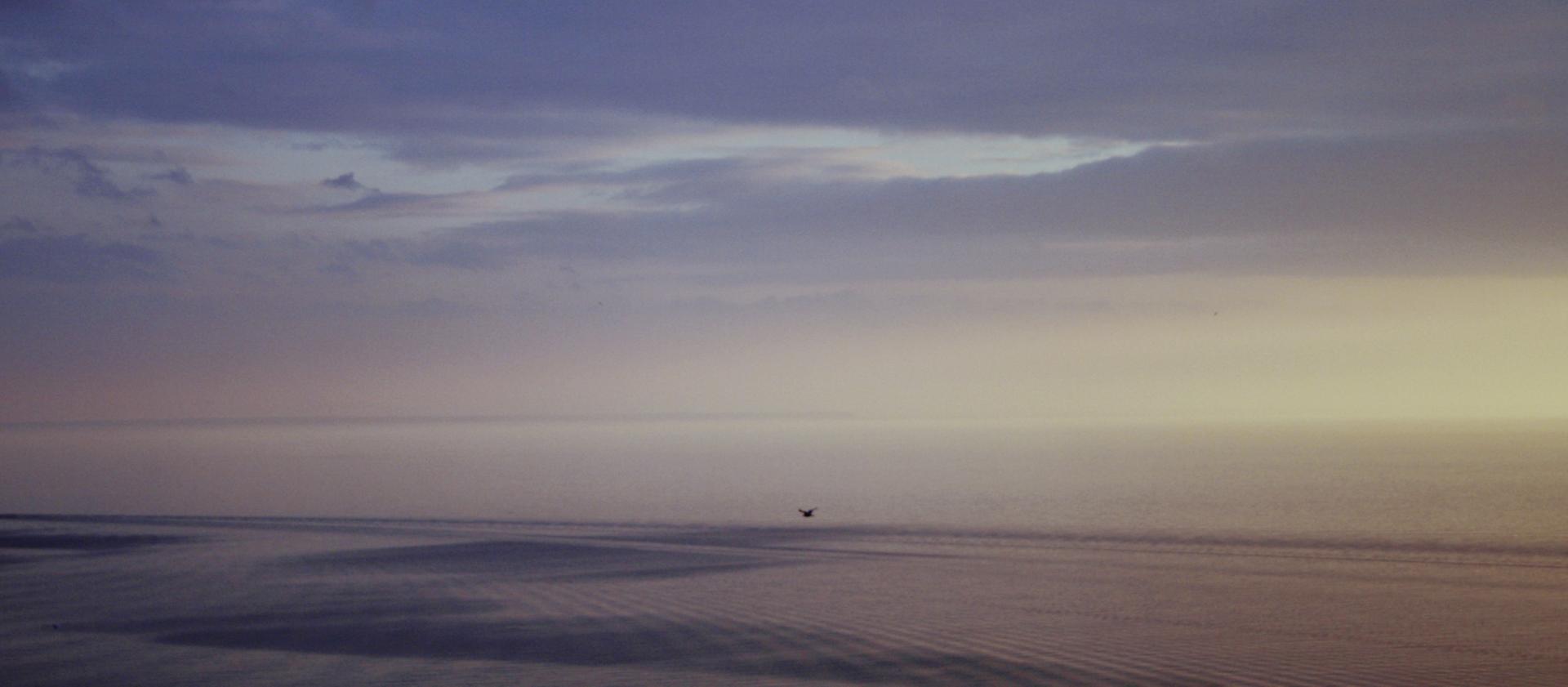 Una escena matutina de una playa costera