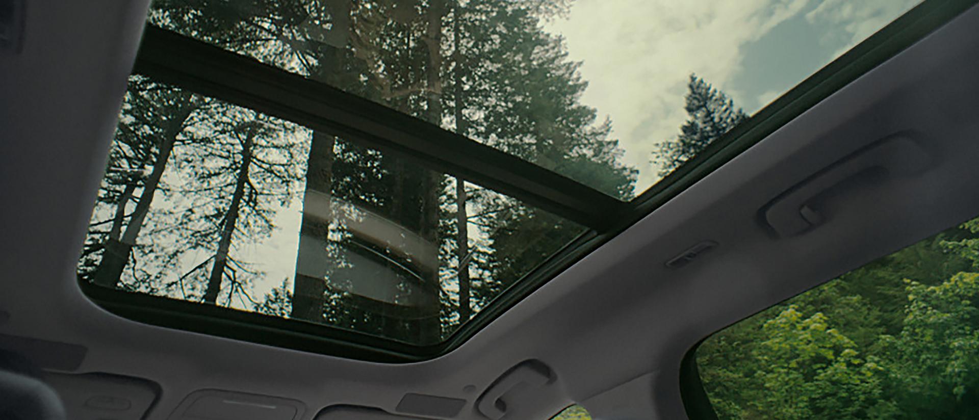 The sky and trees are seen through the panoramic Vista Roof® of a 2026 Lincoln Nautilus® SUV